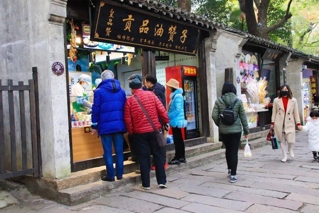 惠山古镇百年银杏换盛装,身披金甲待君赏.