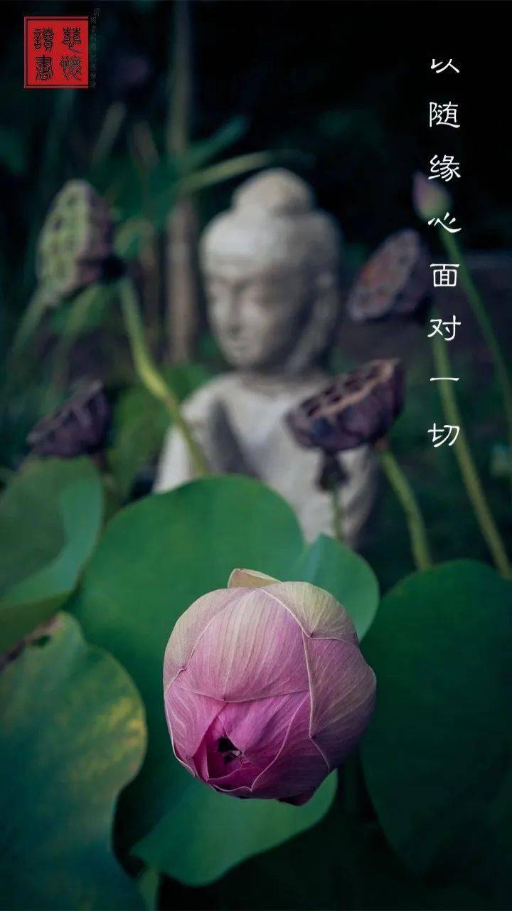 一念禅 佛教提倡"低贪"生活_手机搜狐网