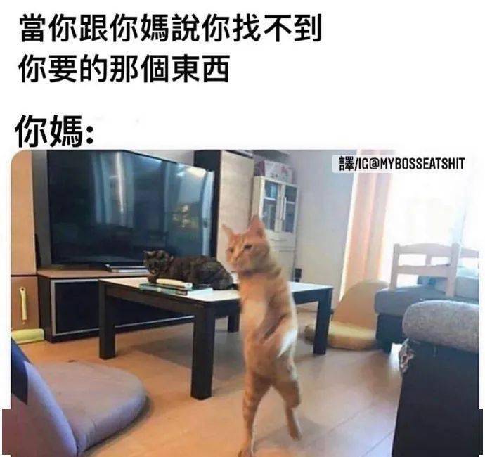 学会说话很重要