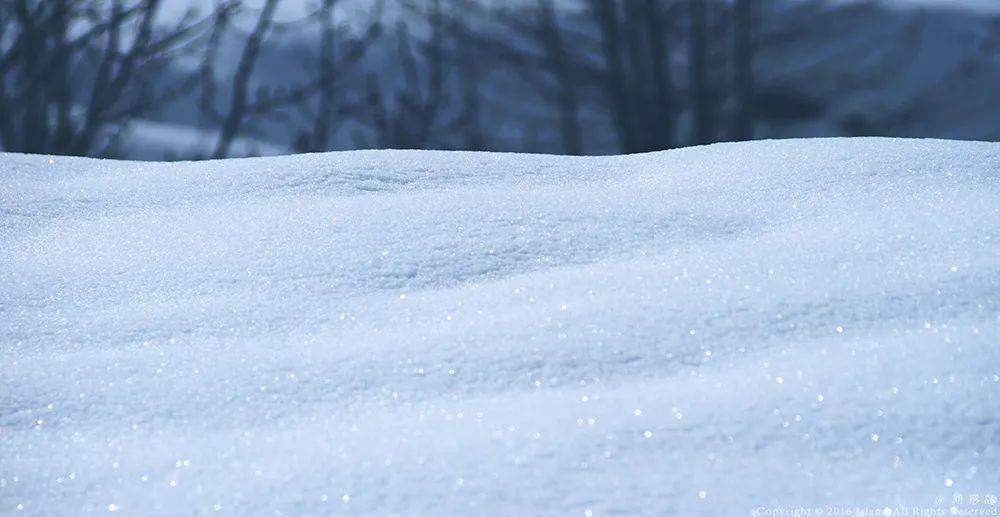 如雪,有时候会覆盖一切,就像"昔我往矣,杨柳依依;今我来思,雨雪霏霏"