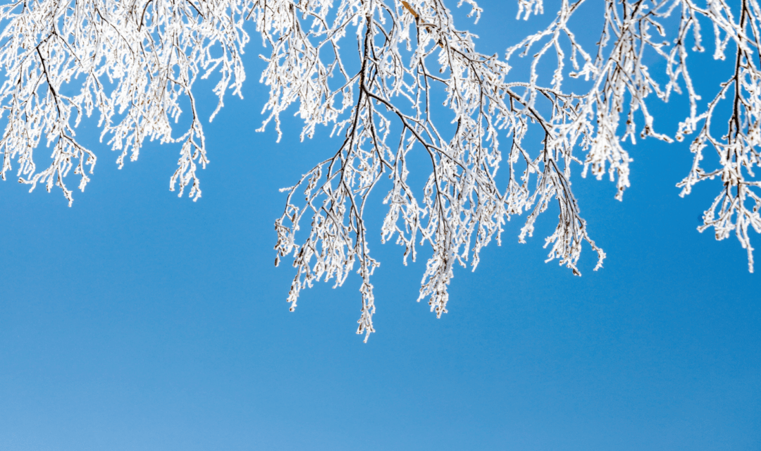 凝霜挂雪白狼峰雾凇迎客来