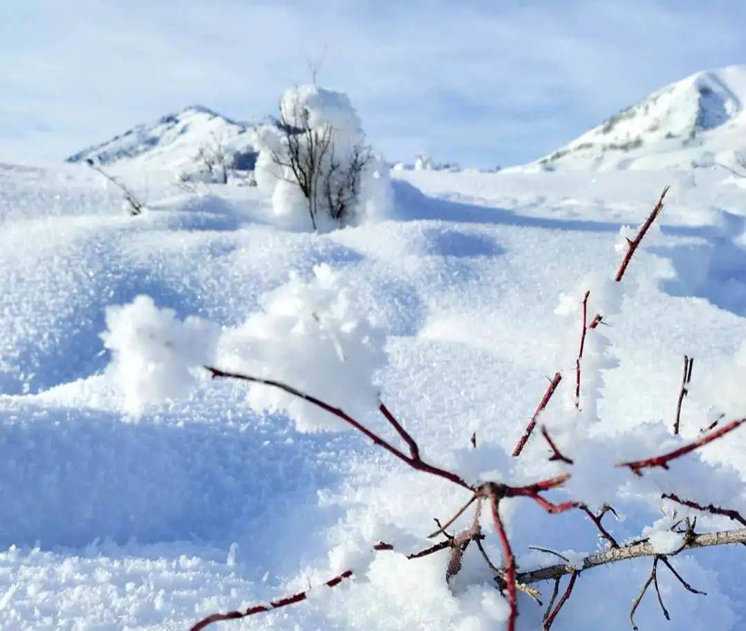 大雪大雪节气到雪花满天飘