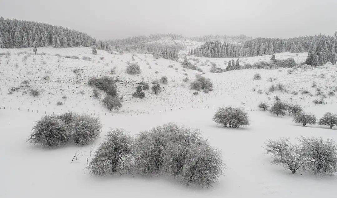 重庆仙女山机场本月下旬首飞,去看雪更方便啦!