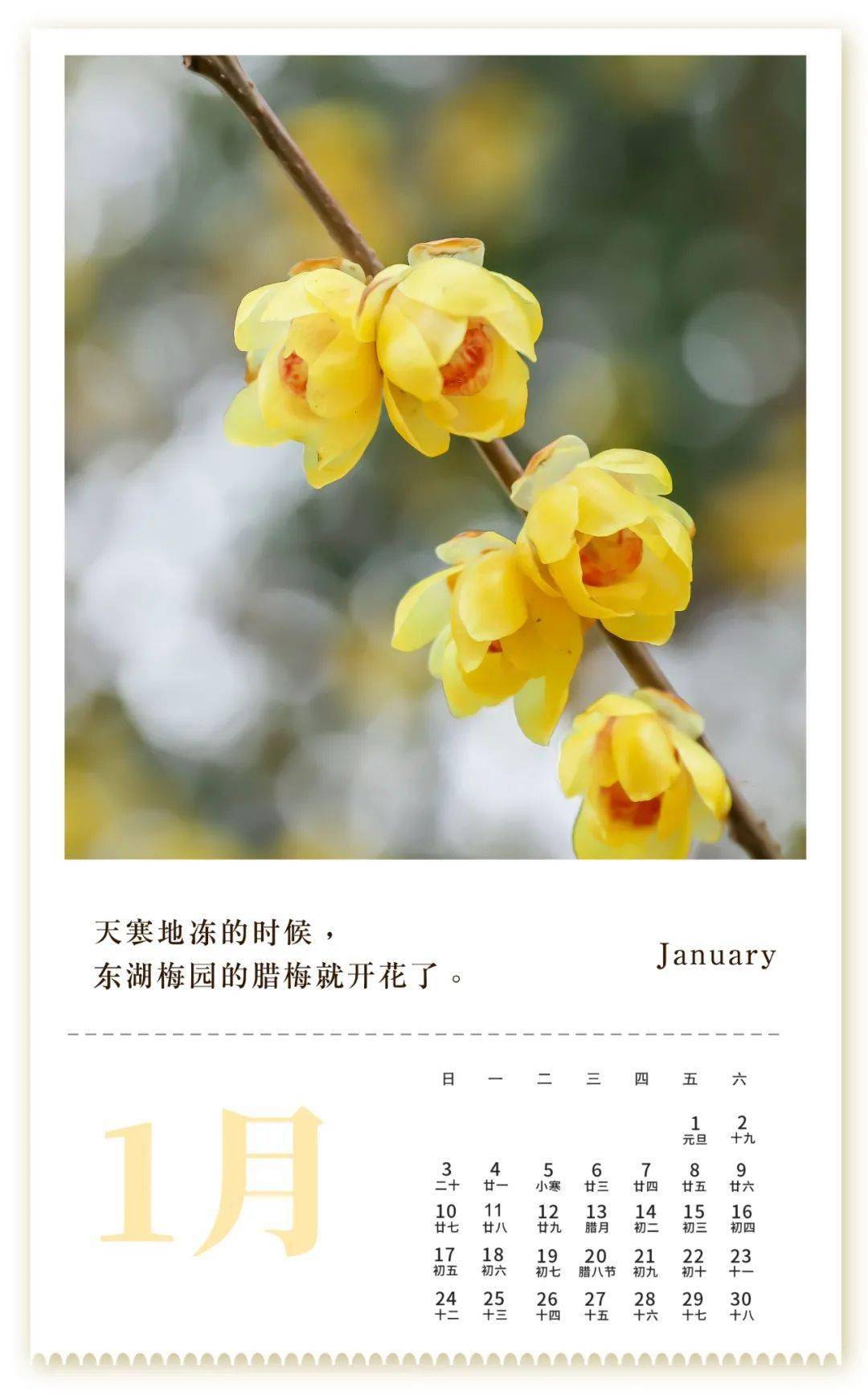 2021武汉日历,和你一起展望更好的明年