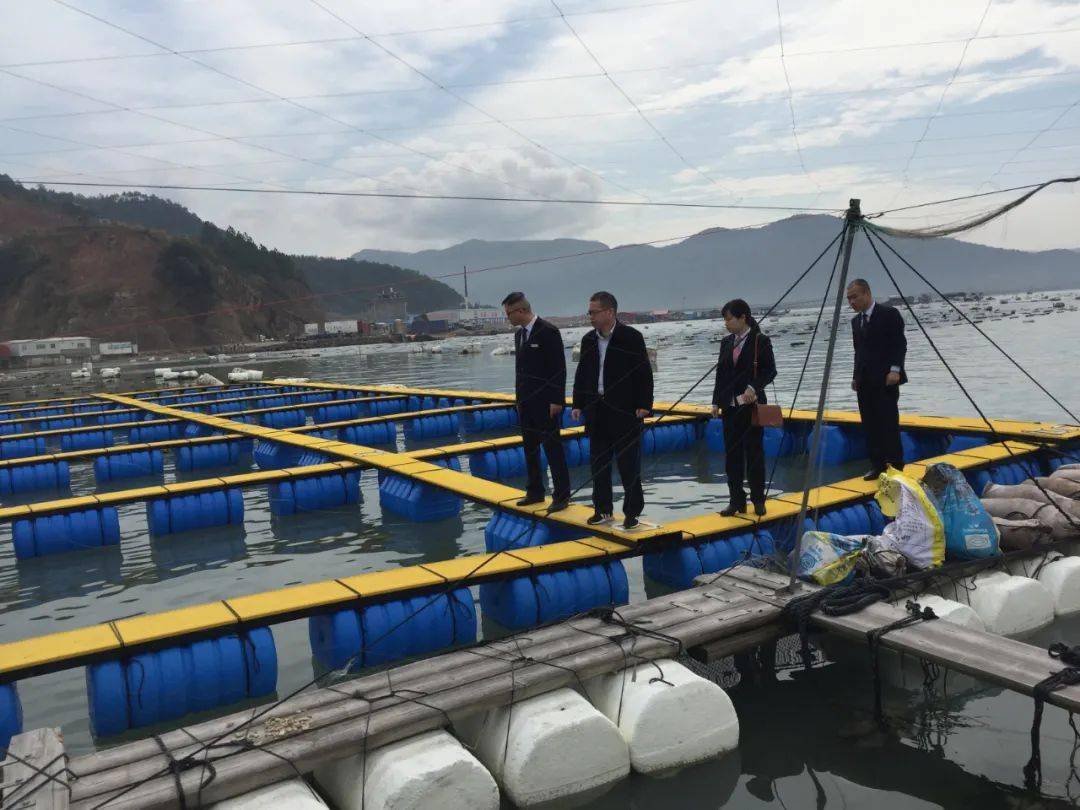 福建霞浦海经济总量_福建霞浦中核华兴(2)