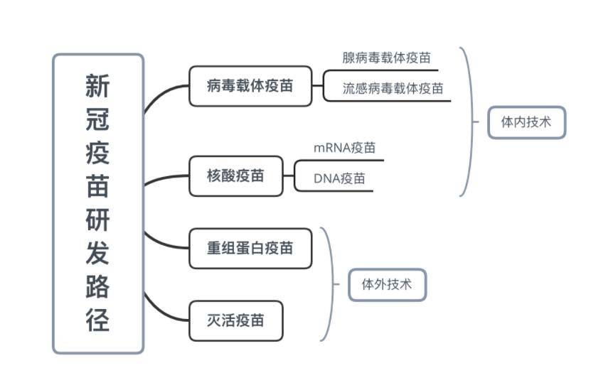 下篇|ADE效应，新冠疫苗研发之踵？（下篇）