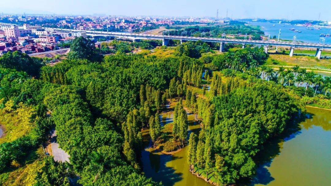 奔跑,老人休闲漫步这些都是金沙岛湿地公园的常见景象公园环境优美