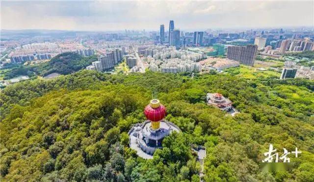 2020年广东GDP100强排名_广东各市2020年gdp(3)