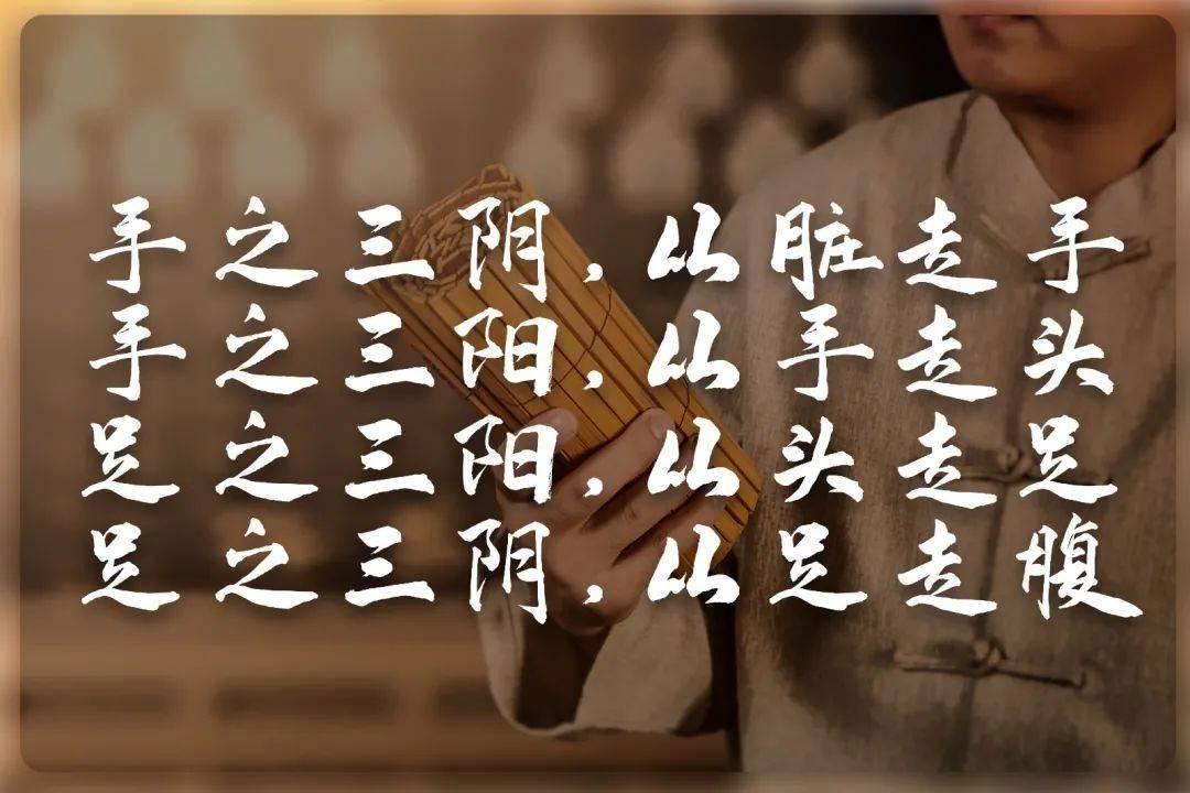 经脉分布规律,不难发现人体有一个天大的奥秘,阴经与阳经在手足交接