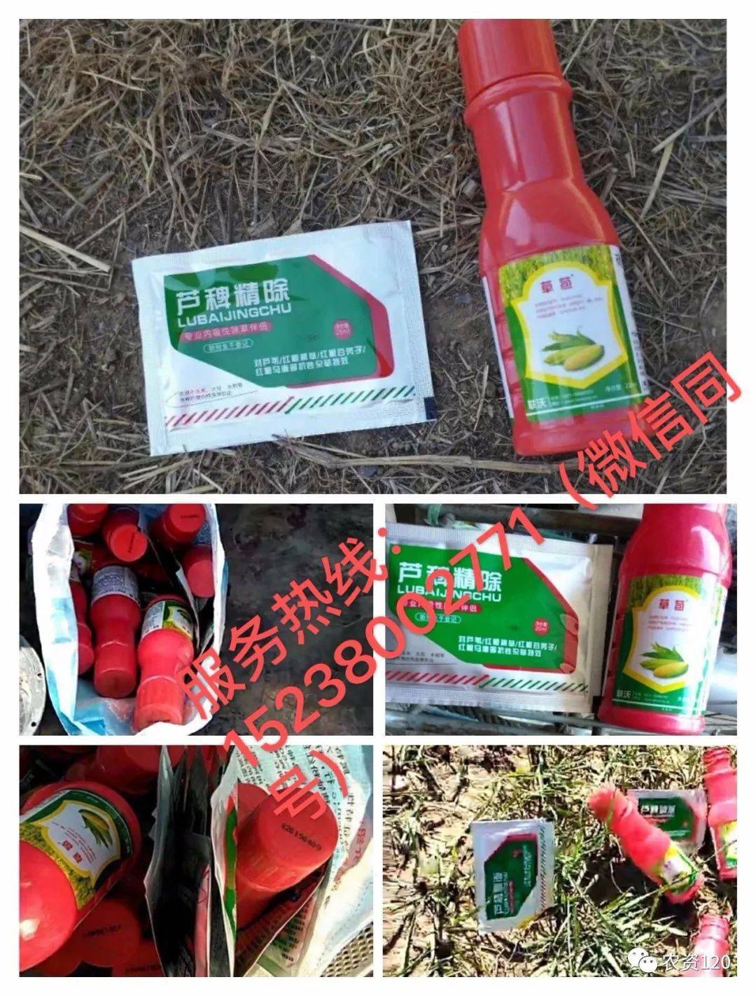d5159127b974455c961fb3daa6ac2ae8.jpeg