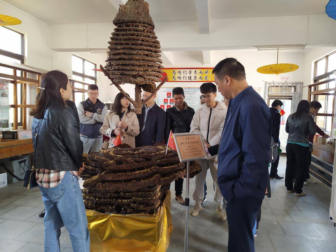 聚人才之力，助乡村振兴！中国侨都博士后沙龙