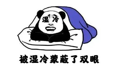 双十二冷空气发货，14号杀到海南！多地气温将创