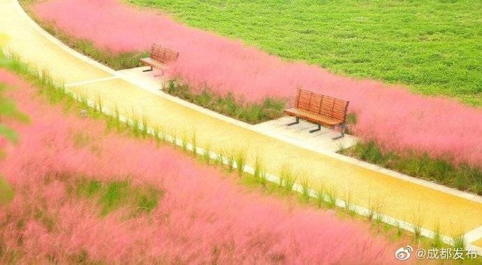 智慧|成都市首条永久性智慧跑道、智能机器人……青龙湖湿地公园二期的“黑科技”你体验过了吗？