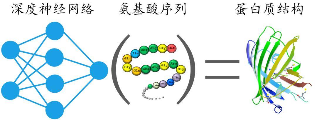通过深度神经网络构建蛋白质序列与结构之间的关系丨作者作图  ai