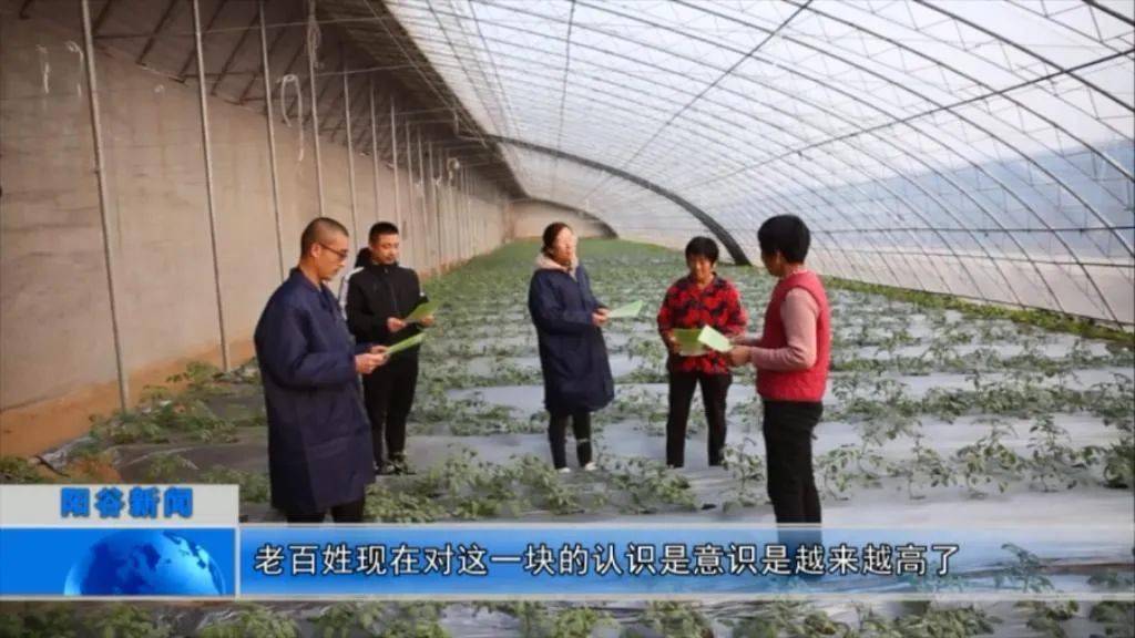 柿子园镇人口_莘县柿子园镇雷庄离奇