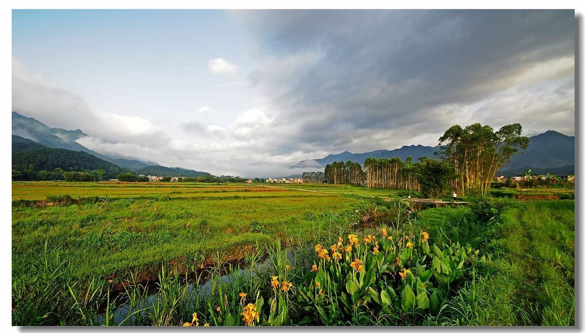 网络田园审美能带来乡村旅游的风口吗