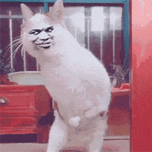 抖音热门表情精选_手机搜狐网