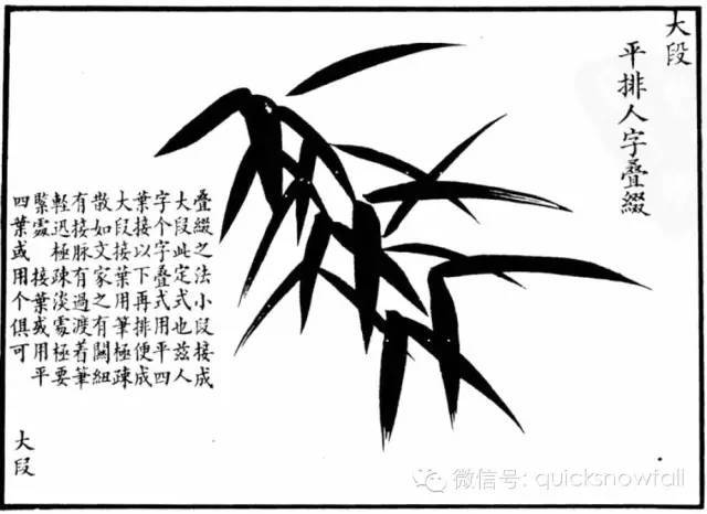 竹子简谱画_竹子画