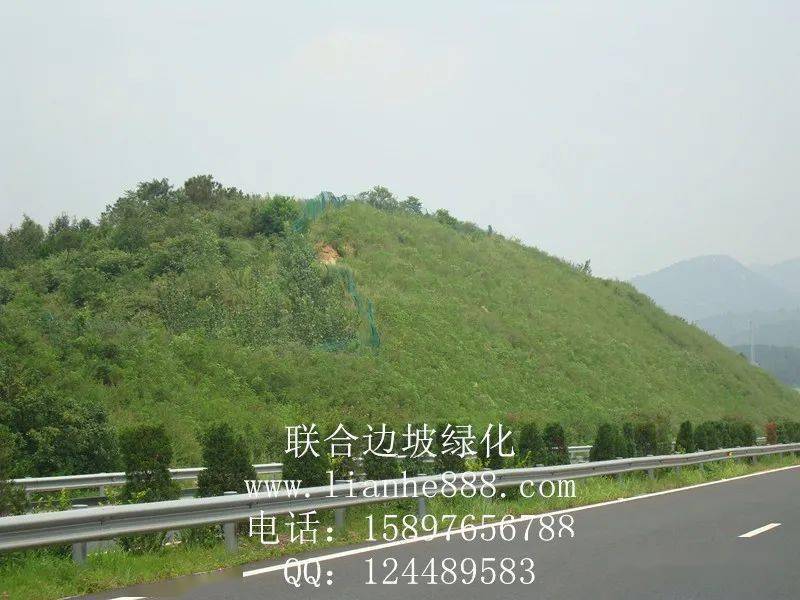 高速公路边坡绿化中植物防护的优点