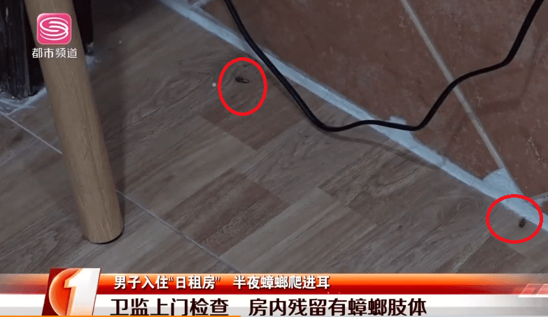 夜半惊魂一男子睡觉时遭蟑螂入耳耳膜被咬穿