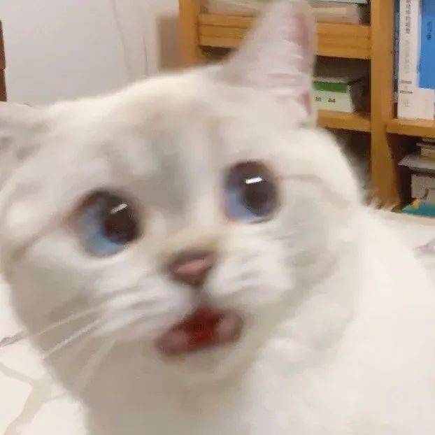 怎样才能让自己的脸皮越来越厚 2c6f35eb306742748c500e12208babf3.jpeg