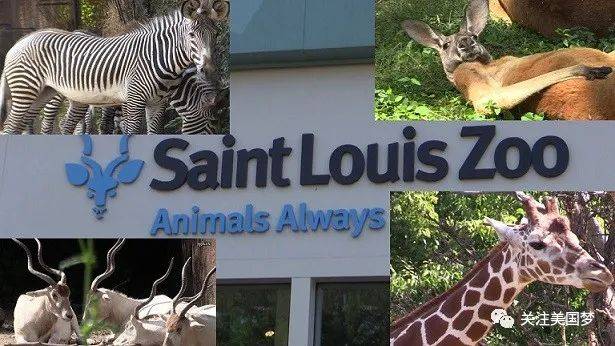 世界最大动物园占地面积 3d27a1b06746410f9d663b71579162e0.jpeg