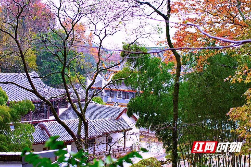 长沙下雪刷屏！还有哪比这里更气质非凡