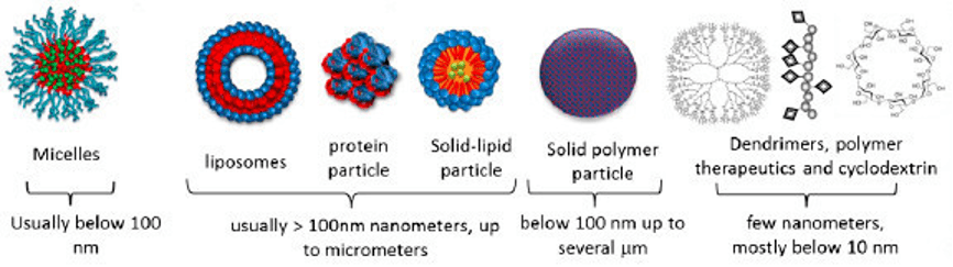 纳米颗粒载体核酸的理想递送体系