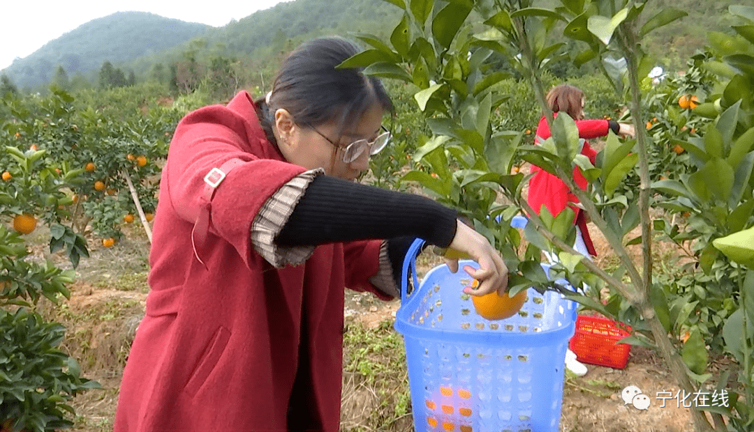 宁化人口2021总人数_宁化2021年规划图
