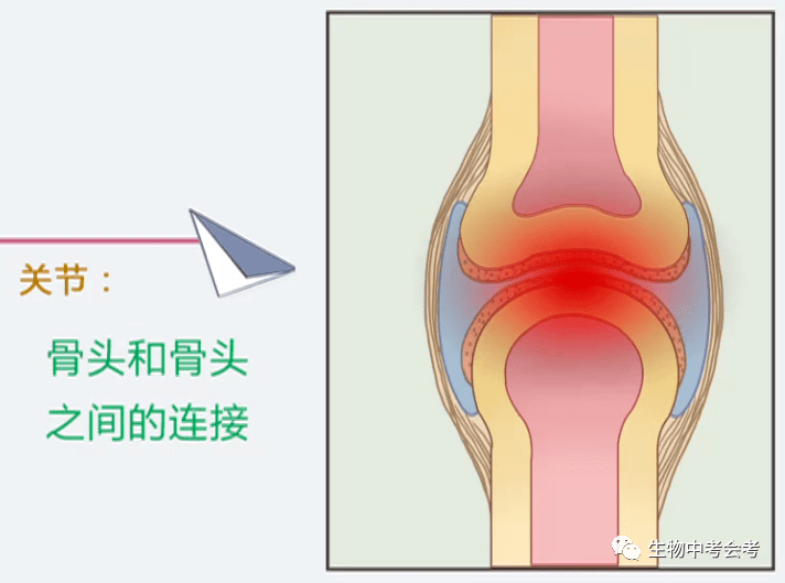 有血栓的人口比例_腿上有血栓真人图片(3)