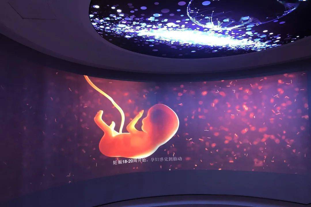 7米环屏超高清3d动画,直观了解孕育小生命的神奇过程.