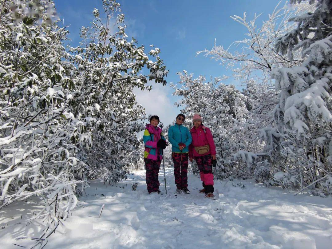 雪天登乌龙山 欣赏绝美雪景_建德市