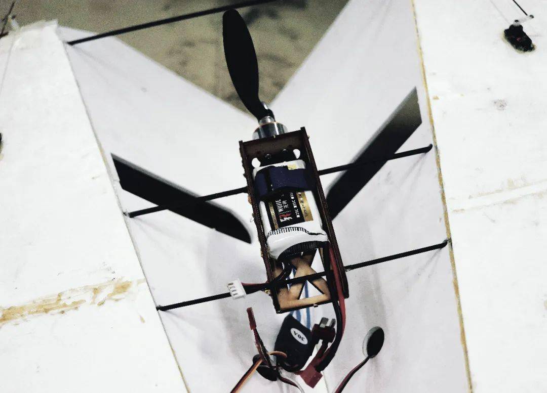 纸飞机如何稳定飞行 7c701e44896b418892cc3ba34b22fd35.jpeg