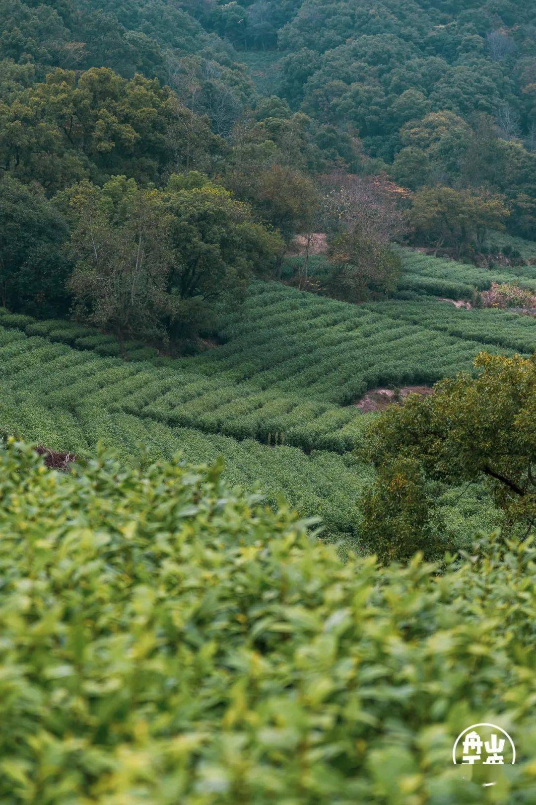 六横还藏着一个盛满人间清欢的全国文明村