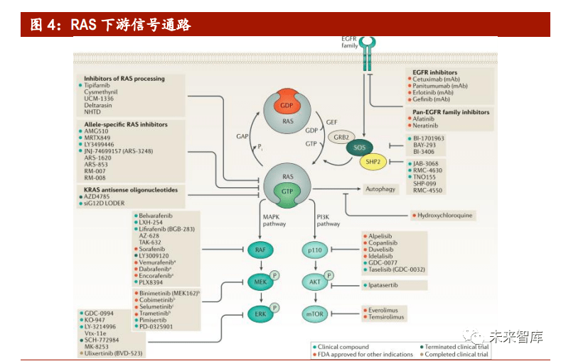 gtp和gdp