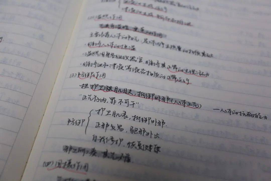 英语书写体有几种 ffbe3c88838c4e11a8a069a629910de7.jpeg