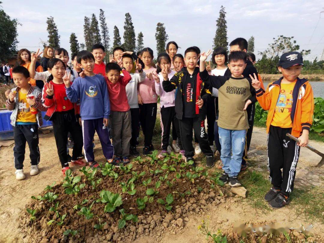 提高学生综合实践能力,近日,在家委的组织下,儒林一小五(7)班的陈浚成