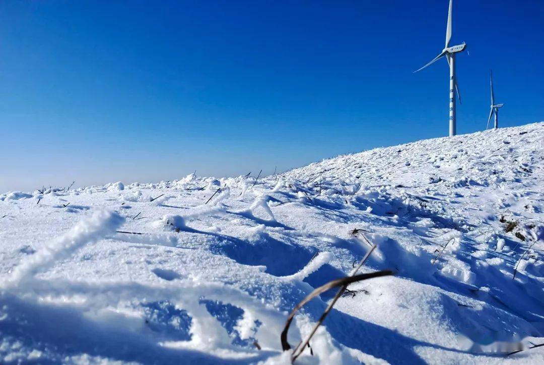 韭菜坪的雪那么美