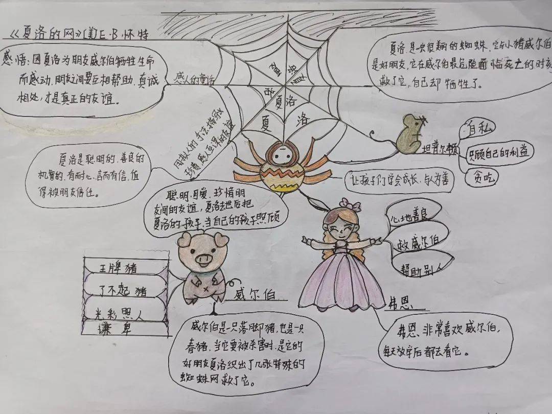 【书香校园】阅读经典文学 探寻生命意义——一本书的n种打开方式《夏洛的网》