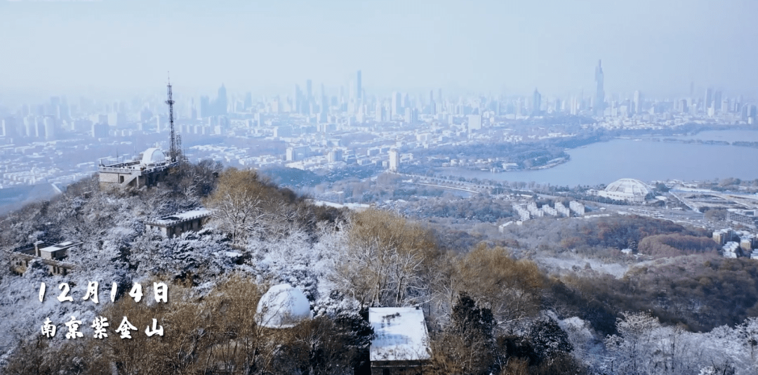 雪后的紫金山,美若仙境!