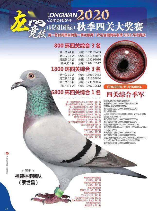 5efb486c0d934e3fb9f834ef17285dde.jpeg