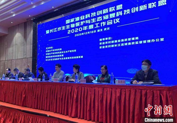 国家渔业科技创新联盟：成立专业联盟保护水域