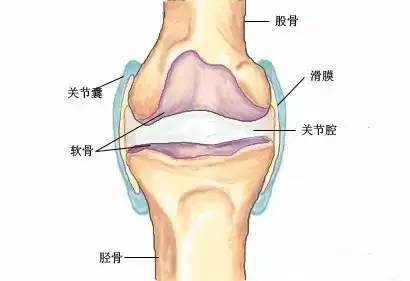 与髌韧带发生粘连时,就会发生脂肪垫劳损,从而使膝关节活动受限