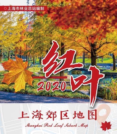 
2020版上海郊区红叶舆图新鲜出炉“开云手机app”(图1)