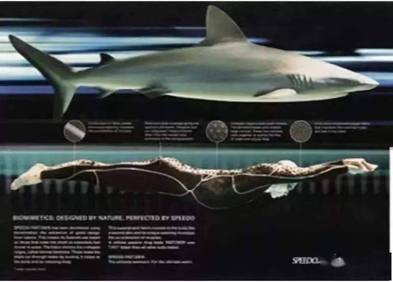 时隔11年 | "鲨鱼皮"泳衣重现 挑战自由泳20秒极限