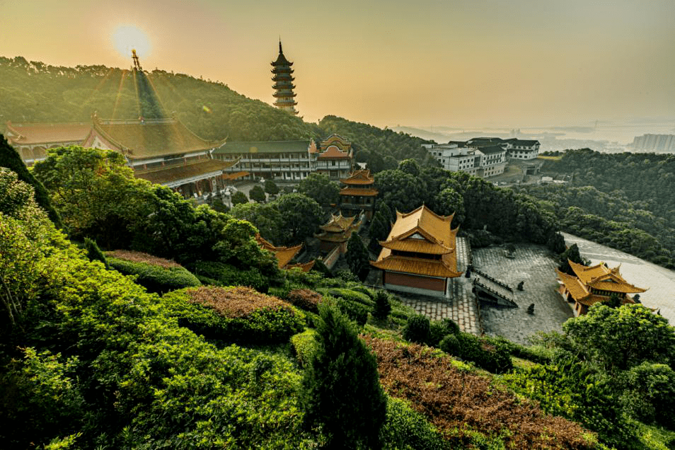 舟山高亭镇GDp_舟山gdp树状图(3)