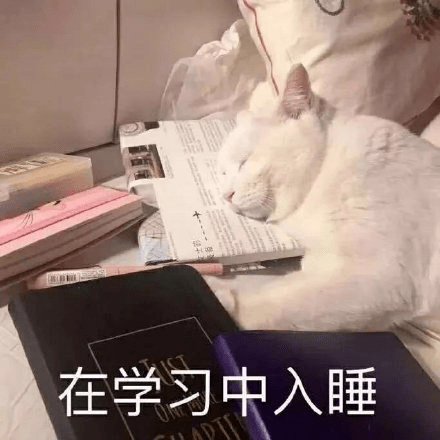 57d7b3247b74466499e48db35c6e7fb2.png