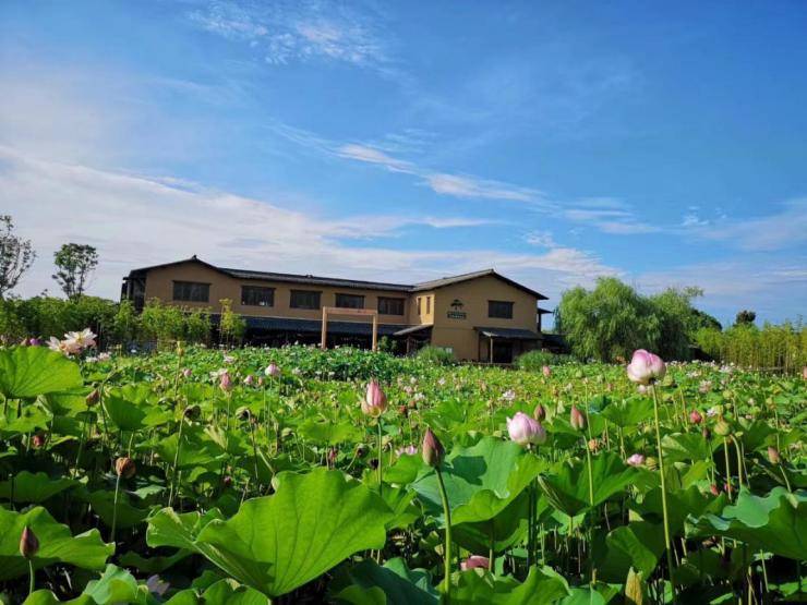 宸翠箤鍚夌ゥ涔嬮煶鏇茶_金科博翠宸章航拍图