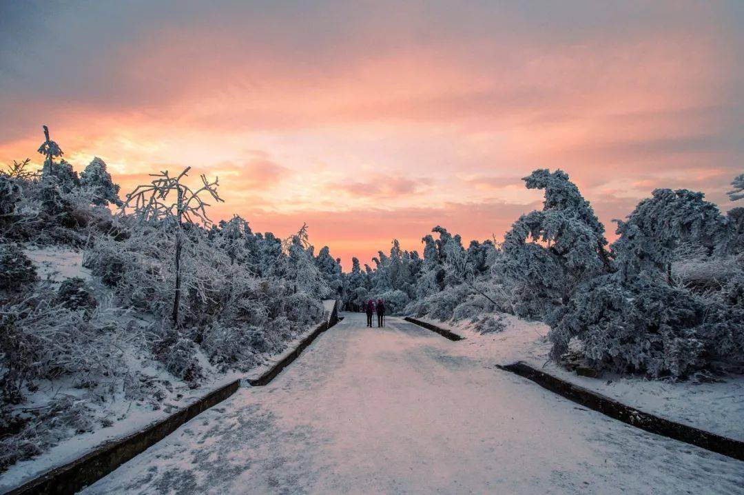 成团大巴团雪色衡山12181220雾凇来了赏醉美冬日南岳衡山登祝融峰顶