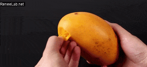 be3424da4ccb45d2a5fafa8136ab302d.gif
